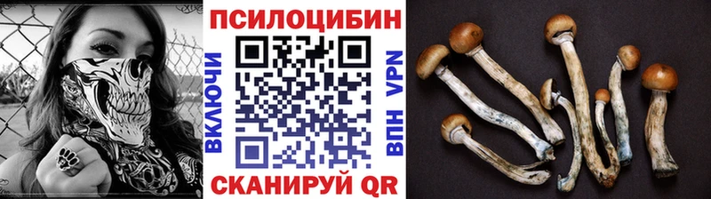 Псилоцибиновые грибы MAGIC MUSHROOMS  hydra зеркало  Дигора 